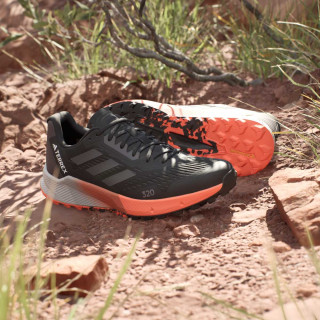 adidas Pantofi Sport TERREX AGRAVIC FLOW 2 
