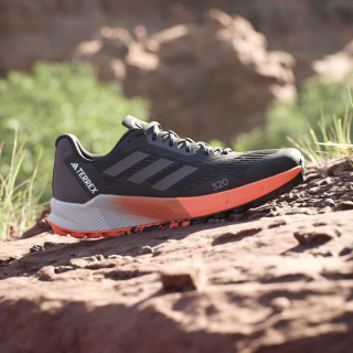 adidas Pantofi Sport TERREX AGRAVIC FLOW 2 