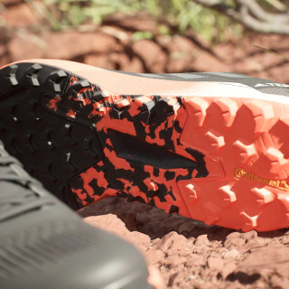 adidas Pantofi Sport TERREX AGRAVIC FLOW 2 
