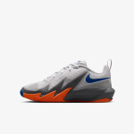 Nike Pantofi Sport NIKE S.T. DYNAMITE (GS) 