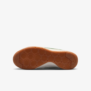 Nike Pantofi Sport NIKE GATO BG V 