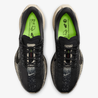 Nike Pantofi Sport PEGASUS PLUS NIRT 