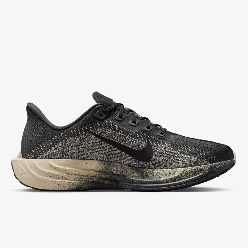 Nike Pantofi Sport PEGASUS PLUS NIRT 