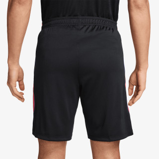 Nike Pantaloni scurti PSG Strike 
