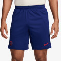 Nike Pantaloni scurti PSG M NK DF STRK SHORT KZ 