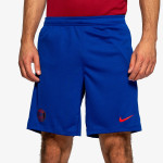 Nike Pantaloni scurti PSG M NK DF STRK SHORT KZ 