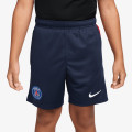 Nike Pantaloni scurti PSG Y NK DF ACDPR SHORT KZ ESN 