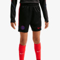 Nike Pantaloni scurti PSG Strike 