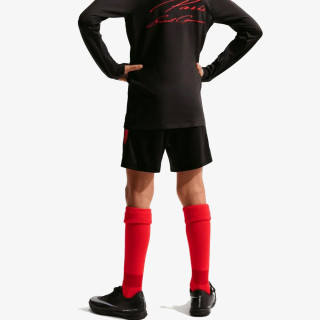Nike Pantaloni scurti PSG Strike 