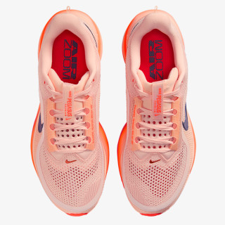 Nike Pantofi Sport NIKE PEGASUS PREMIUM QS 