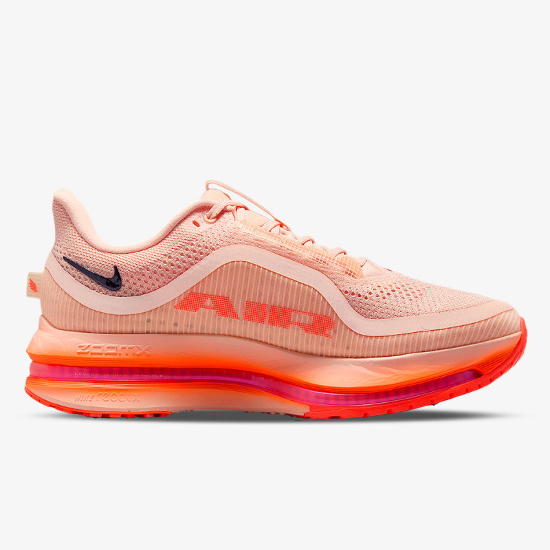 Nike Pantofi Sport NIKE PEGASUS PREMIUM QS 