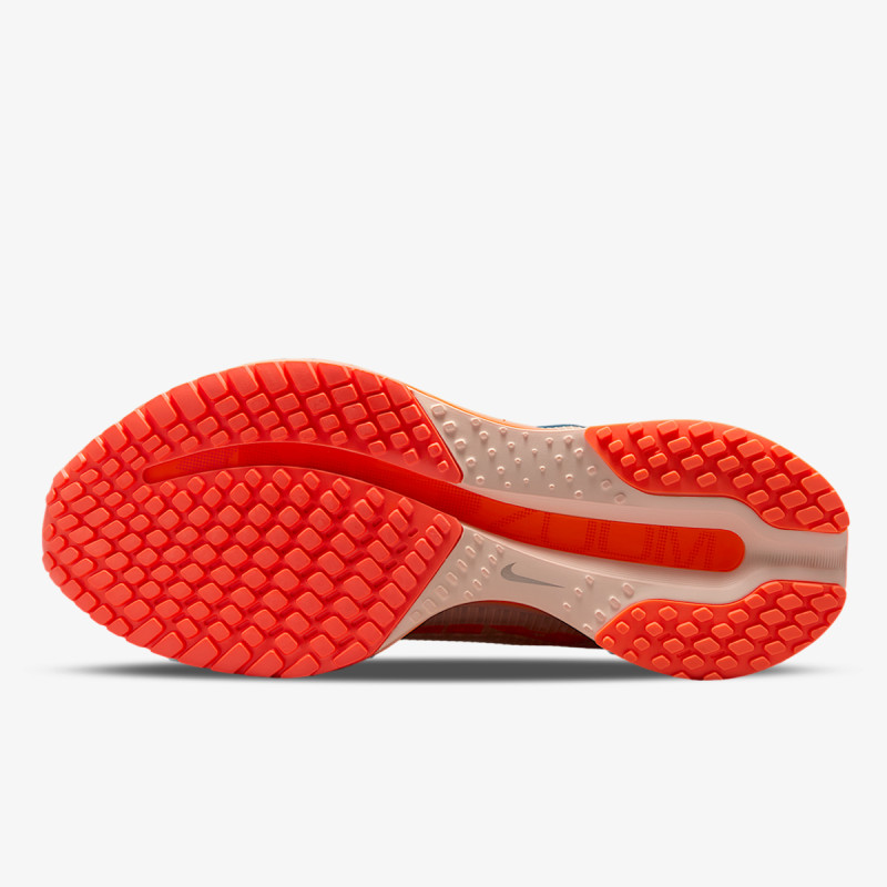 Nike Pantofi Sport NIKE PEGASUS PREMIUM QS 