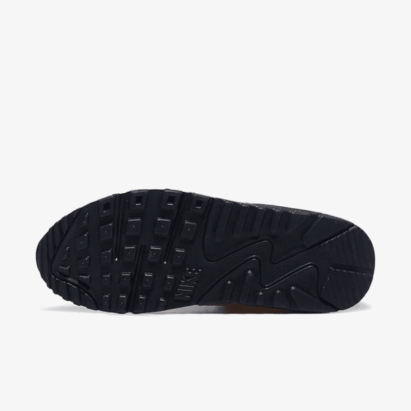 Nike Pantofi Sport WMNS AIR MAX 90 SE 