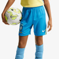 Nike Pantaloni scurti Stadium 
