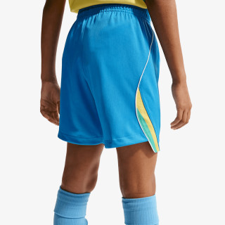Nike Pantaloni scurti Stadium 