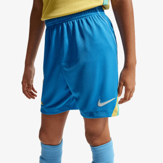 Nike Pantaloni scurti Stadium 