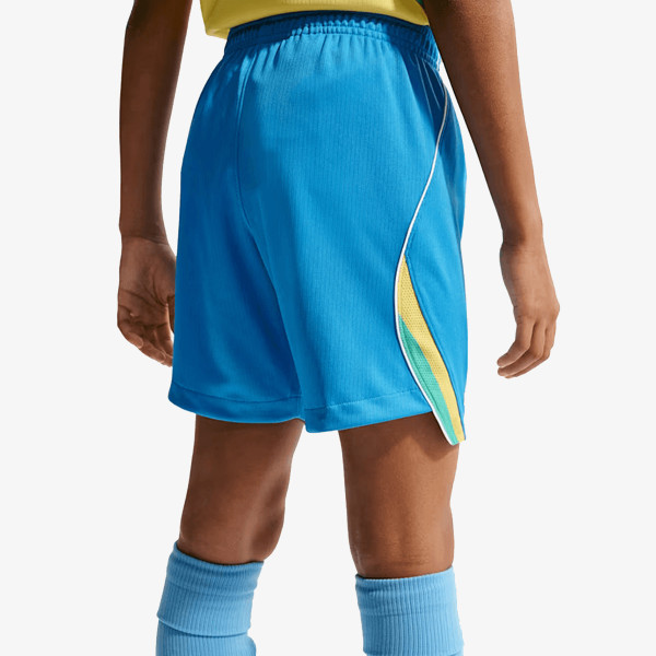 Nike Pantaloni scurti Stadium 