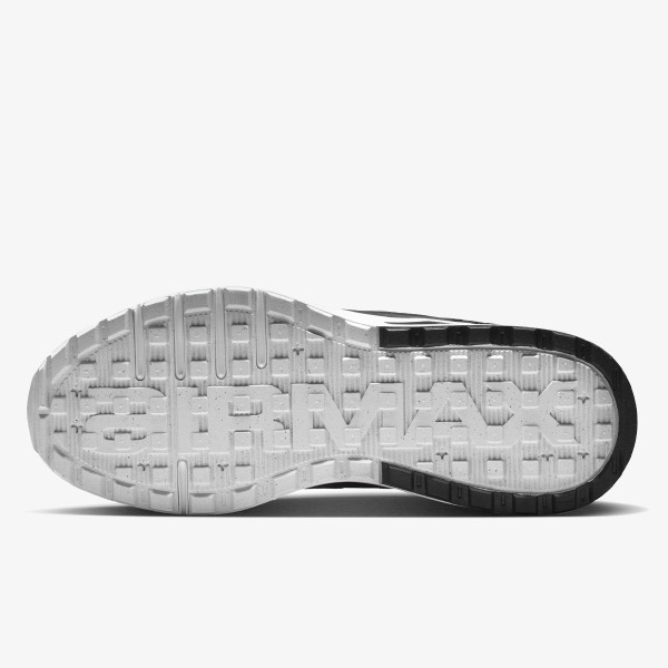 Nike Pantofi Sport W AIR MAX BIA 