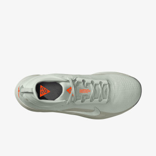 Nike Pantofi Sport NIKE ACG PEGASUS TRAIL GTX 