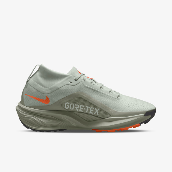 Nike Pantofi Sport NIKE ACG PEGASUS TRAIL GTX 