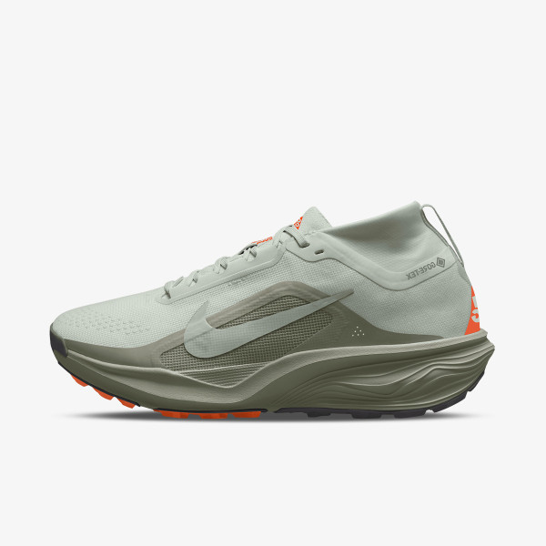 Nike Pantofi Sport NIKE ACG PEGASUS TRAIL GTX 