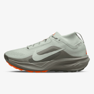 Nike Pantofi Sport W NIKE ACG PEGASUS TRAIL GTX 