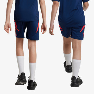 adidas Pantaloni scurti MUFC TR SHO Y 