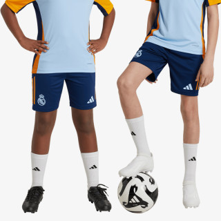 adidas Pantaloni scurti REAL TR SHO Y 