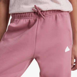 adidas Pantaloni de trening Future Icons 
