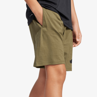 adidas Pantaloni scurti Big logo 