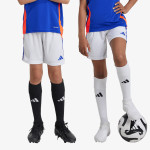 adidas Pantaloni scurti TIRO24 TRSHOY 