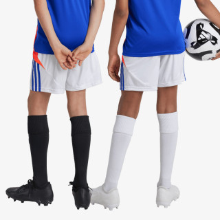 adidas Pantaloni scurti TIRO24 TRSHOY 