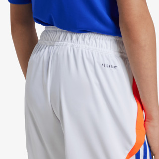 adidas Pantaloni scurti TIRO24 TRSHOY 