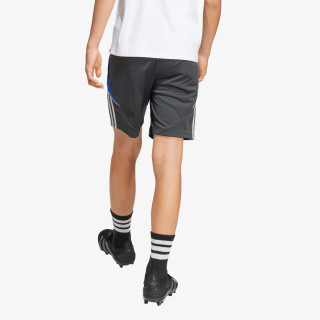 adidas Pantaloni scurti Messi 