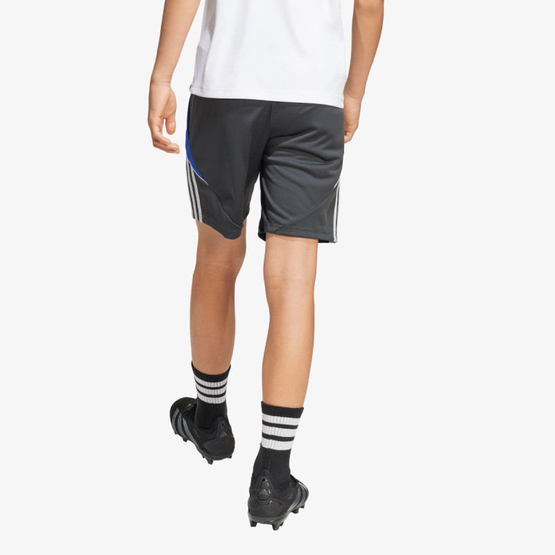 adidas Pantaloni scurti Messi 