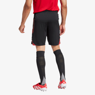 adidas Pantaloni scurti Tiro 25 Competition 