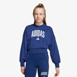 adidas Hanorac JG CLGT FT SWT 