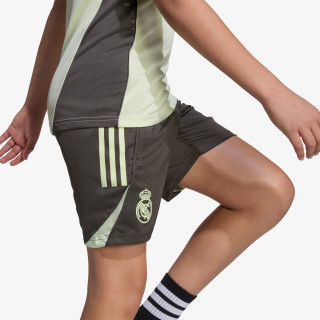 adidas Pantaloni scurti REAL TR SHO Y 