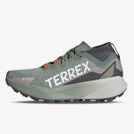 adidas Pantofi Sport Terrex Agravic Gore-Tex 