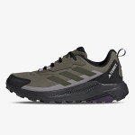 adidas Pantofi Sport TERREX ANYLANDER R.RDY W 