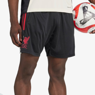 adidas Pantaloni scurti Liverpool FC 