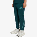 adidas Pantaloni de trening J Z.N.E. PT 