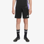 adidas Pantaloni scurti Tiro 24 