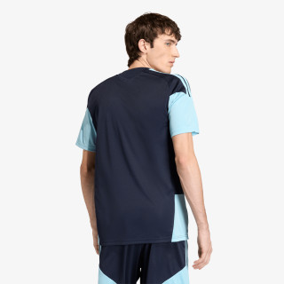 adidas Tricou echipe AFA TR JSY 