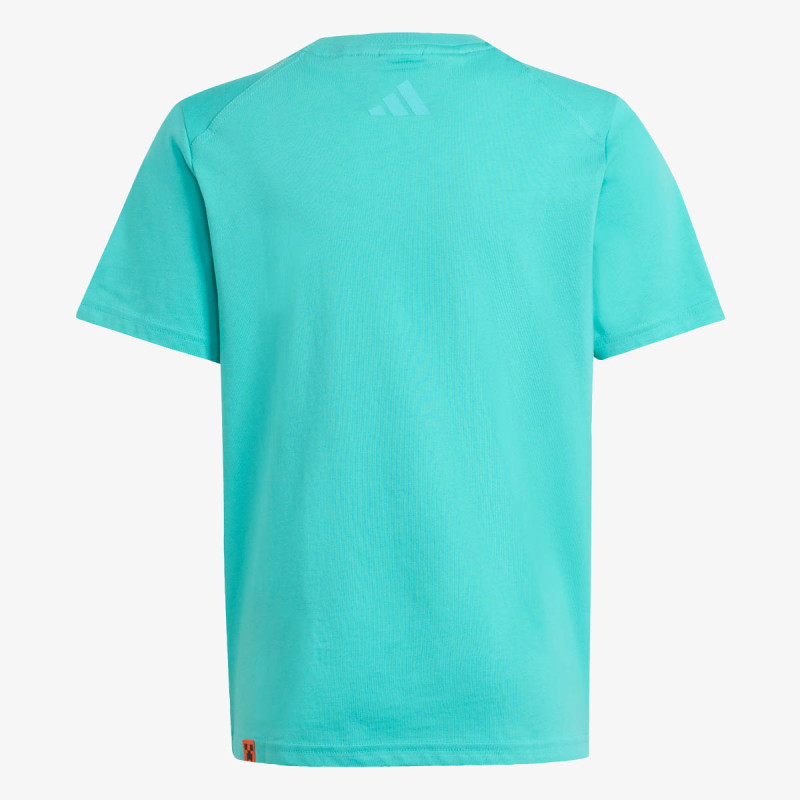 adidas Pantofi Sport Minecraft Terrex 