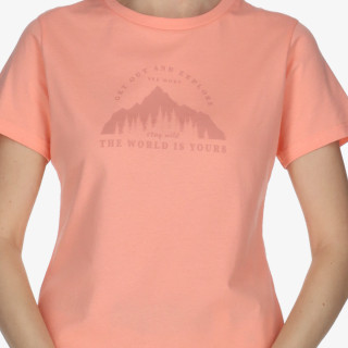 Kander Tricou World 