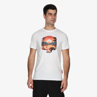 Kander Tricou Logan 