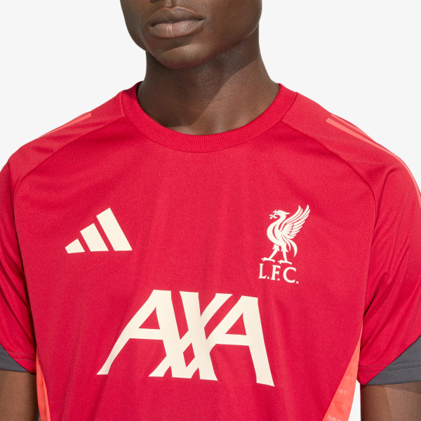 adidas Tricou echipe LFC TR JSY 