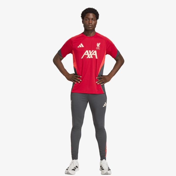 adidas Pantaloni de trening LFC TR PNT 