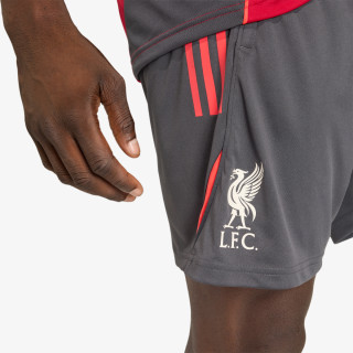 adidas Pantaloni scurti LFC TR SHO 